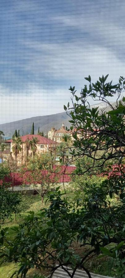 У Людмилы Γκάγκρα Εξωτερικό φωτογραφία